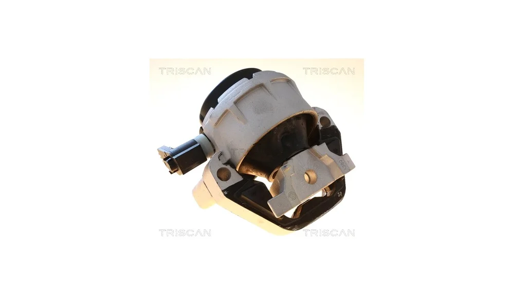 Motorfeste - 8505 29198 - (Triscan) v:1778454
