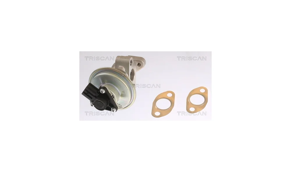 EGR-ventil - 8813 10054 - (Triscan) v:6447839